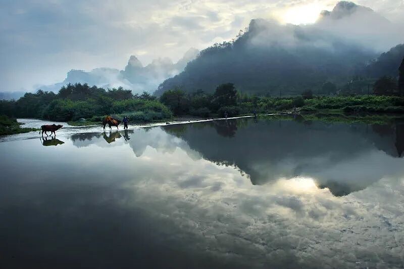 他苦熬10年，收购美国巨头，成特斯拉、奔驰的“幕后王者”（组图） - 3