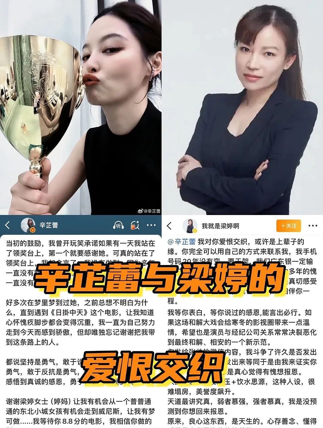 辛芷蕾刚拿影后,就摊上事了?(组图) - 2