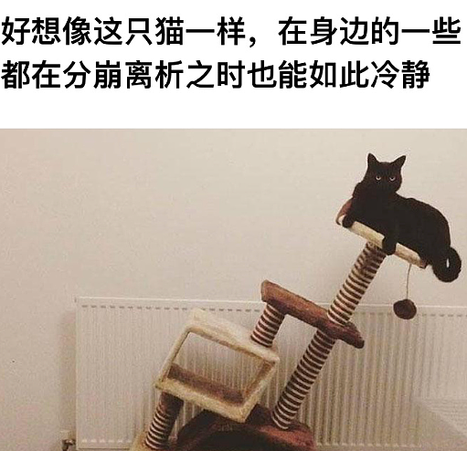 【爆笑】男朋友手臂的纹身,这是什么字?问他他说忘了?(组图) - 39