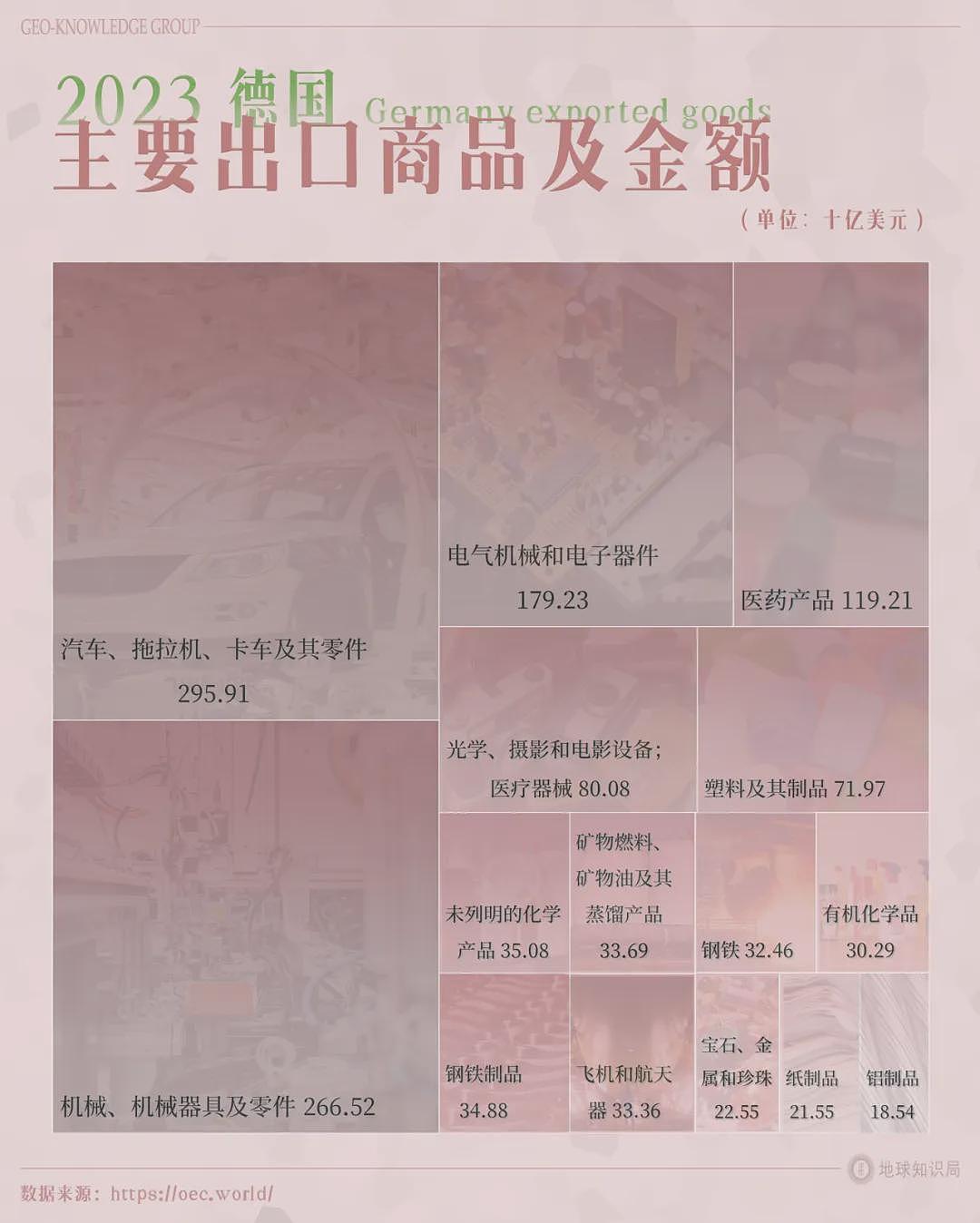 德国的世界冠军，正在批量阵亡（组图） - 4