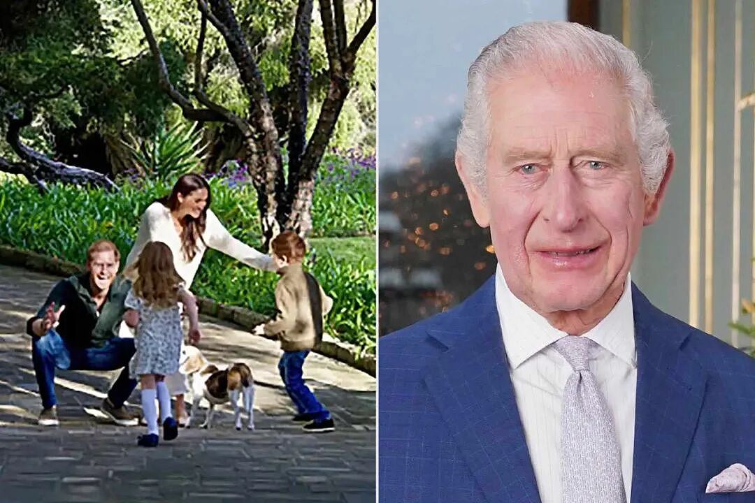 哈里时隔一年多再见查尔斯，表示自己“深受英国人喜欢“，英网友：这人有妄想症？（组图） - 8