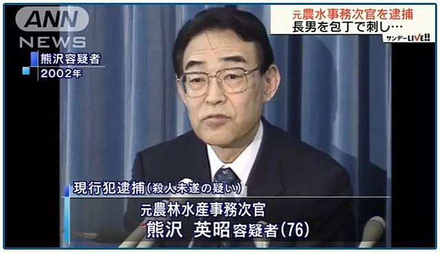 日本“躺平族”恐怖案例动摇社会?无差别攻击路人制造惨剧,人数太多已不再是孤例...(组图) - 9