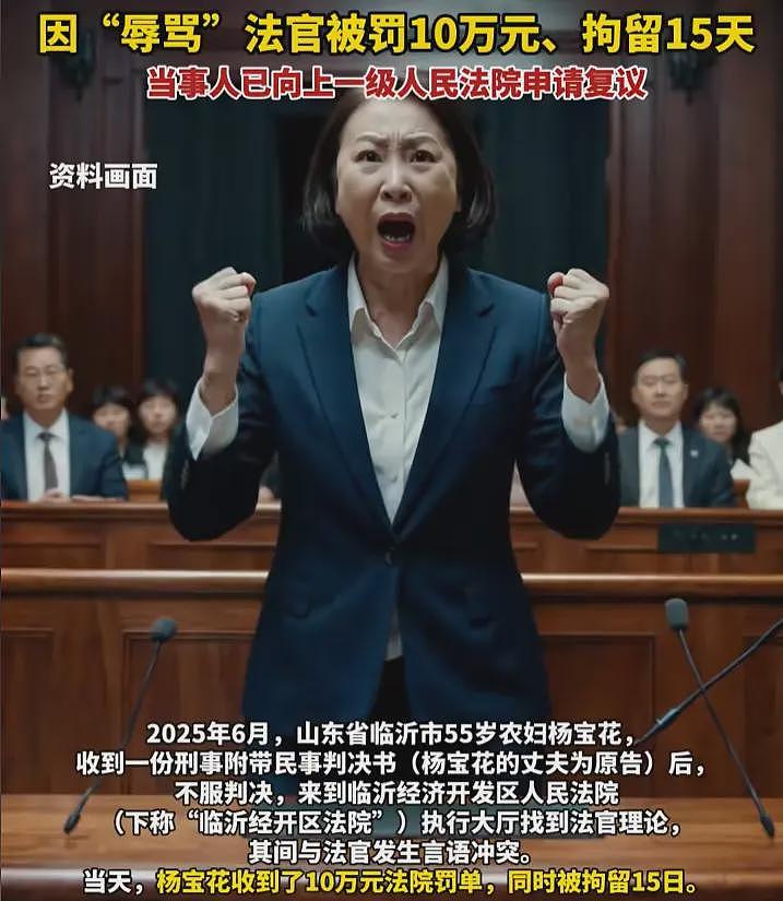 法院摊上大事!山东一农妇“辱骂”法官,竟被拘15日同时罚10万(组图) - 9