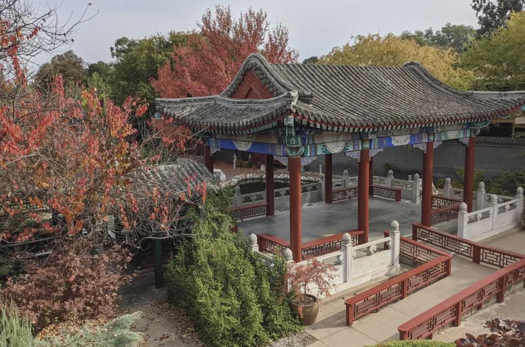 “你们尽管骂吧“!大牌明星加入,维州州长在中国,一系列重大宣布(组图) - 10