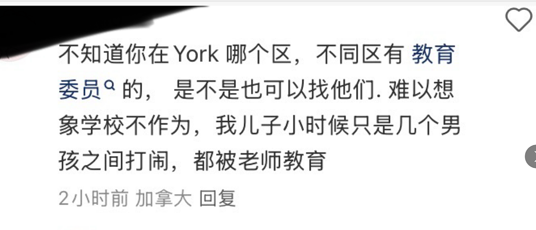 顶尖名校二年级华人小孩被群殴、扇耳光！班主任竟隐瞒，家长愤怒发声（组图） - 4