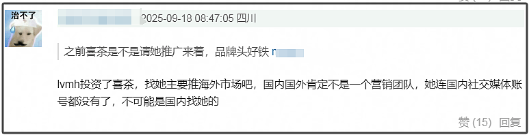 Lisa又来内娱试水!团队打擦边球赚钱,线上四人代言地广被除名(组图) - 20