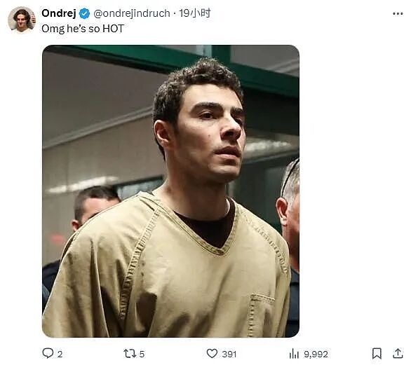 枪杀CEO的路易吉再度出庭，赢麻了！庭审得利还帅如男模，粉丝从巴黎来看他...（组图） - 13