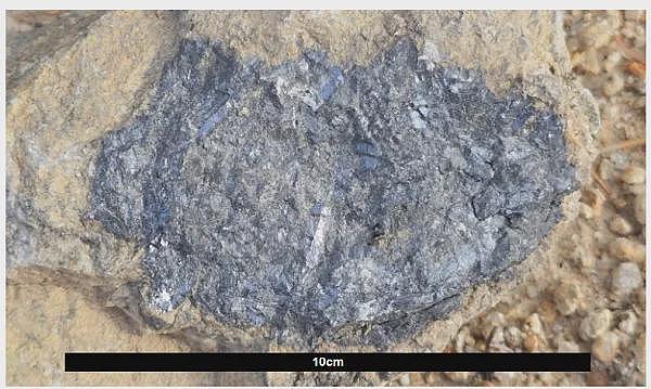 Lithium Plus Minerals (ASX：LPM)拟在中国东营综合保税区打造锂矿石加工交易中心 - 24