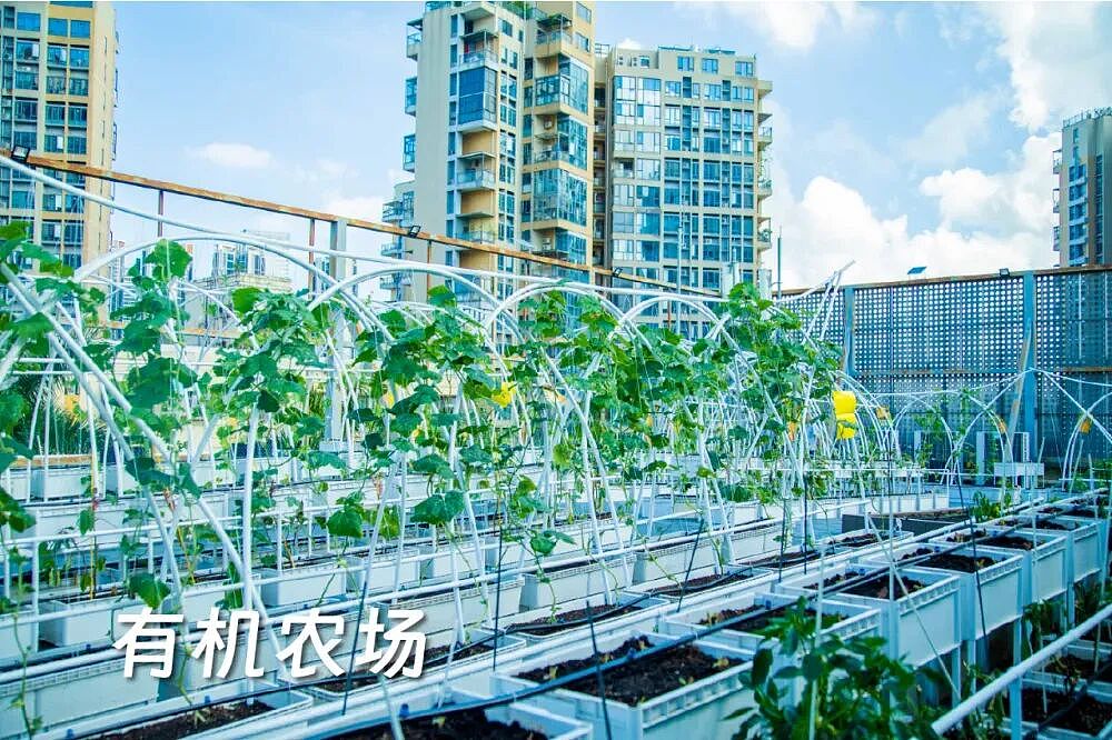 深圳“三剑客”，干翻苹果，把耳机卖到全球第一（组图） - 12