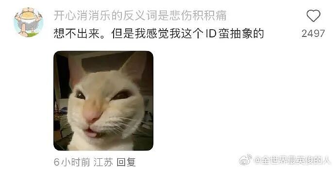 【爆笑】富豪立遗嘱要把80亿元给陌生人？网友酸哭：红眼病真的要犯了！（组图） - 20