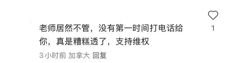 顶尖名校二年级华人小孩被群殴、扇耳光!班主任竟隐瞒,家长愤怒发声(组图) - 5