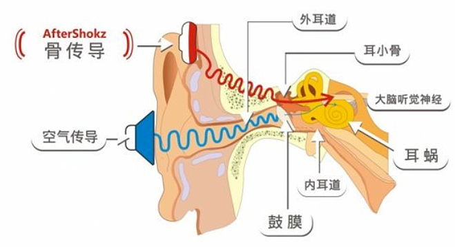深圳“三剑客”，干翻苹果，把耳机卖到全球第一（组图） - 7