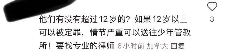 顶尖名校二年级华人小孩被群殴、扇耳光!班主任竟隐瞒,家长愤怒发声(组图) - 6