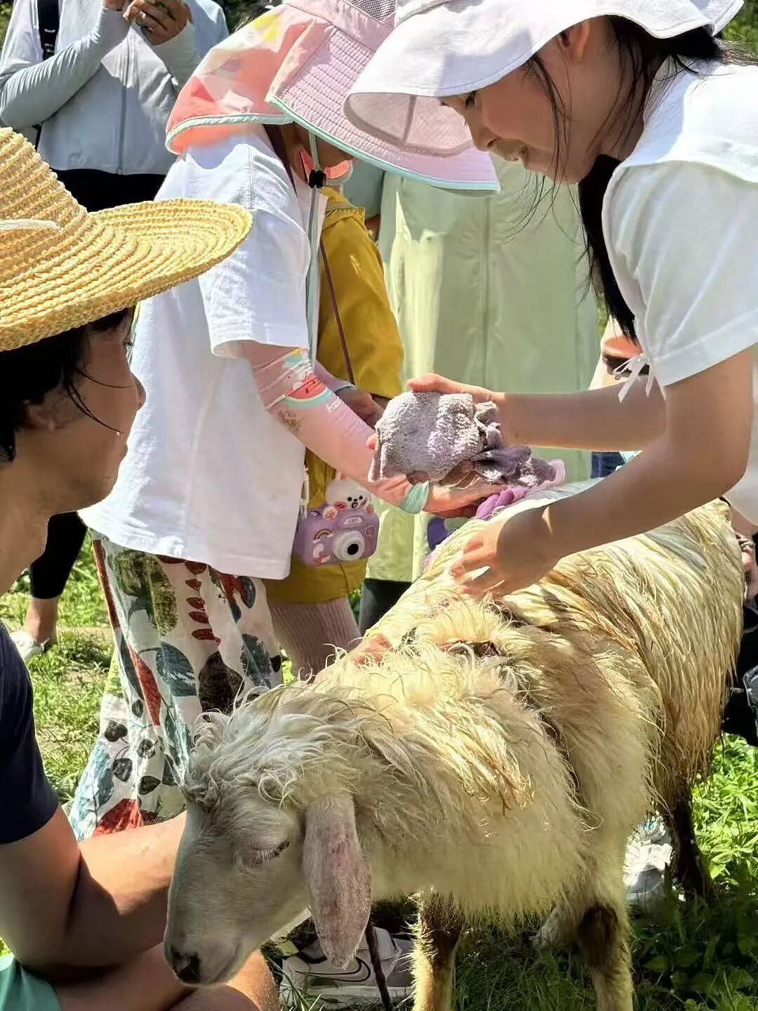 我32岁，海归硕士，现已流浪街头（组图） - 16