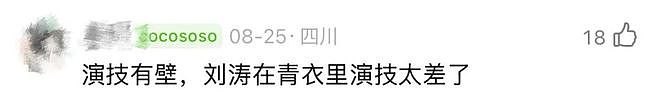 刘涛为95花作配，国民女星的资源降级还是新机遇？（组图） - 23