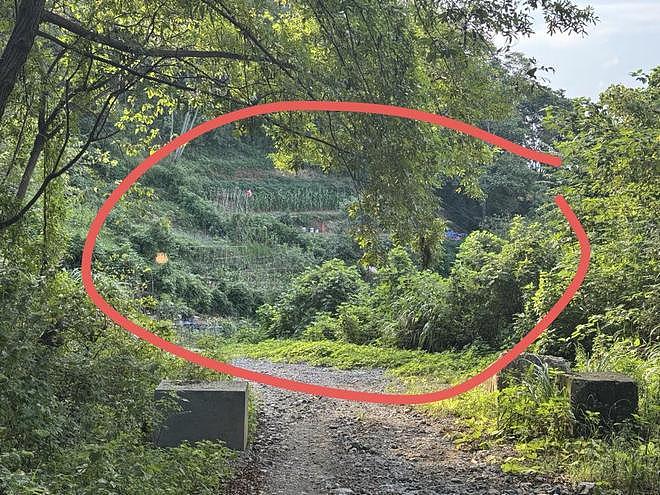 误触“化骨水”女子已火化，丈夫称抢救3天花了30多万，涉案者儿子发声（组图） - 2