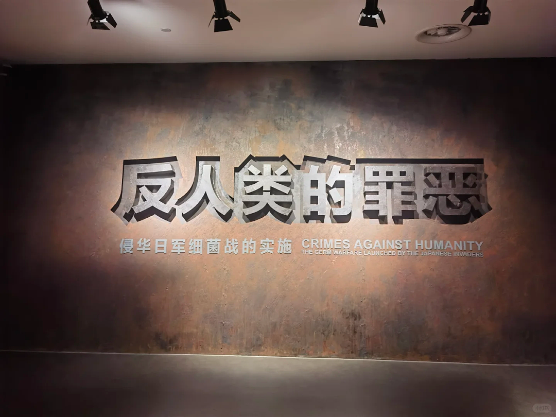 卖爆的《731》只拍出冰山一角，“看见了，就不能背过身去”（组图） - 10