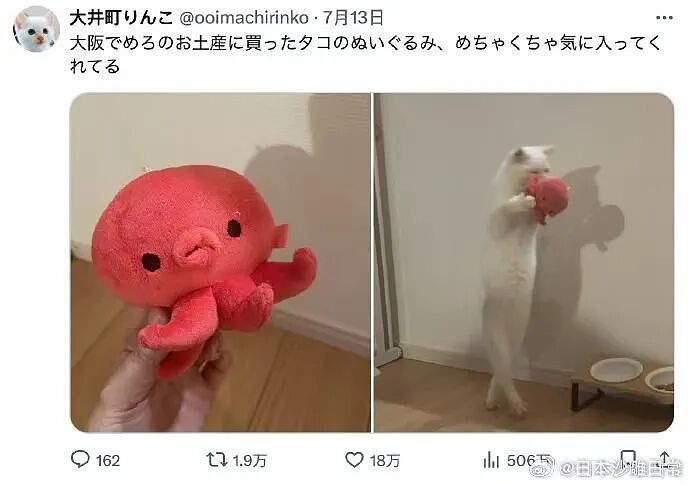 【爆笑】“跟领导聊天不小心暴露自己的属性......“ 哈哈哈哈哈哈我不行了！（组图） - 6