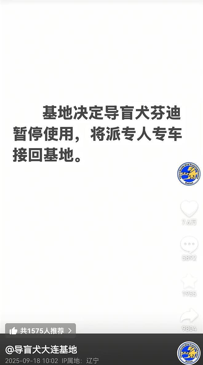 大连市残联回应“盲人带导盲犬爬泰山”:已跟导盲犬基地商议将犬只接回,暂停盲人使用权(组图) - 2
