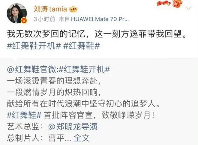 刘涛为95花作配，国民女星的资源降级还是新机遇？（组图） - 5