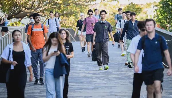 新政对他们立刻奏效？【反转】申请来澳洲的人数已大跌66%（组图） - 6
