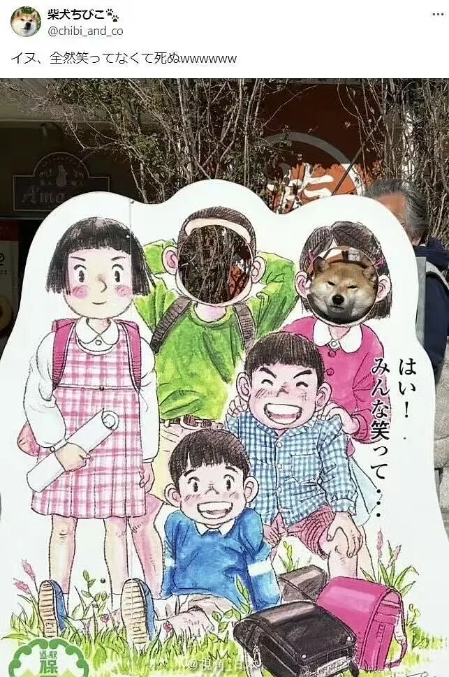 【爆笑】“跟领导聊天不小心暴露自己的属性......“ 哈哈哈哈哈哈我不行了！（组图） - 77