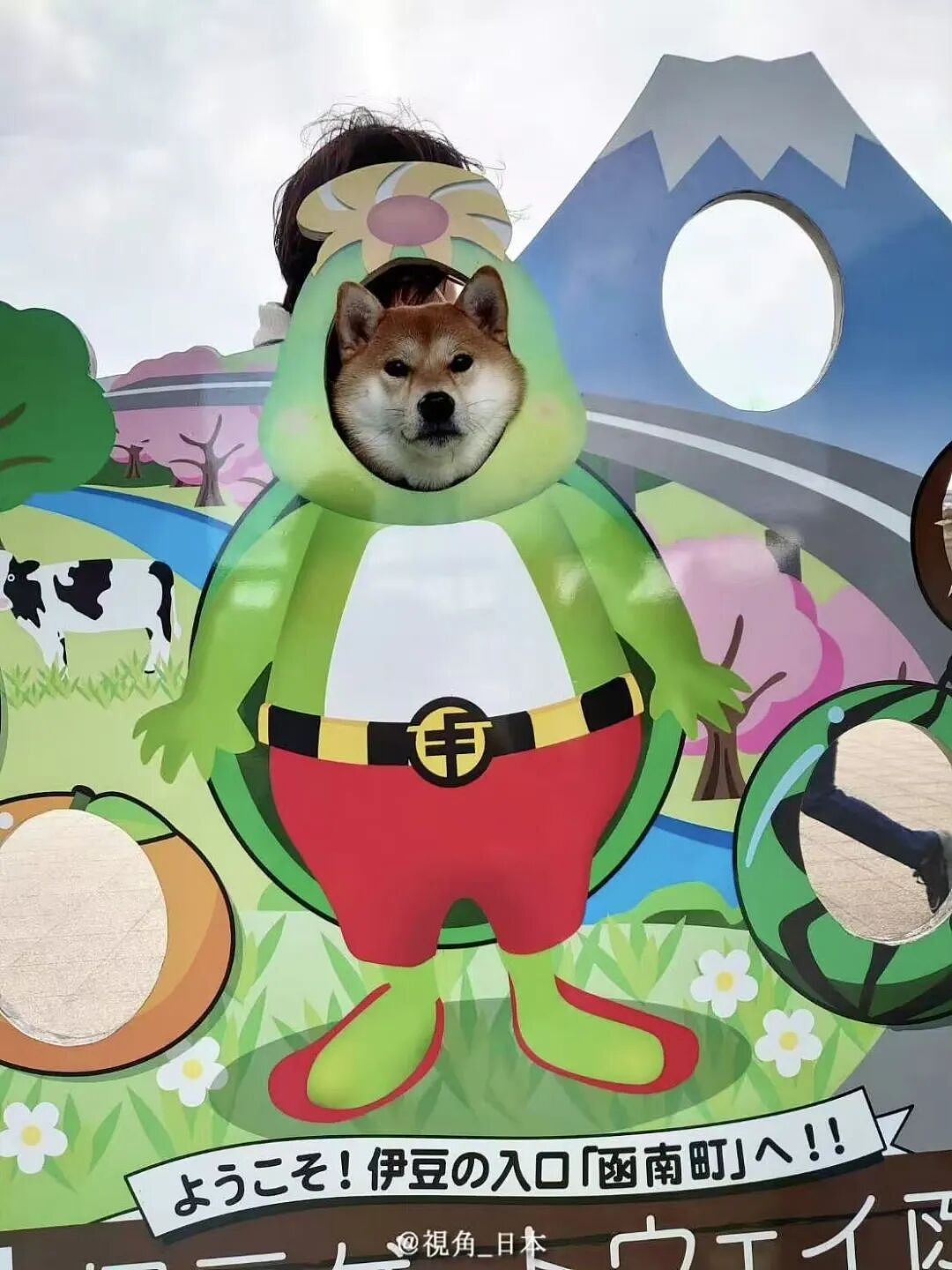 【爆笑】“跟领导聊天不小心暴露自己的属性......“ 哈哈哈哈哈哈我不行了！（组图） - 80