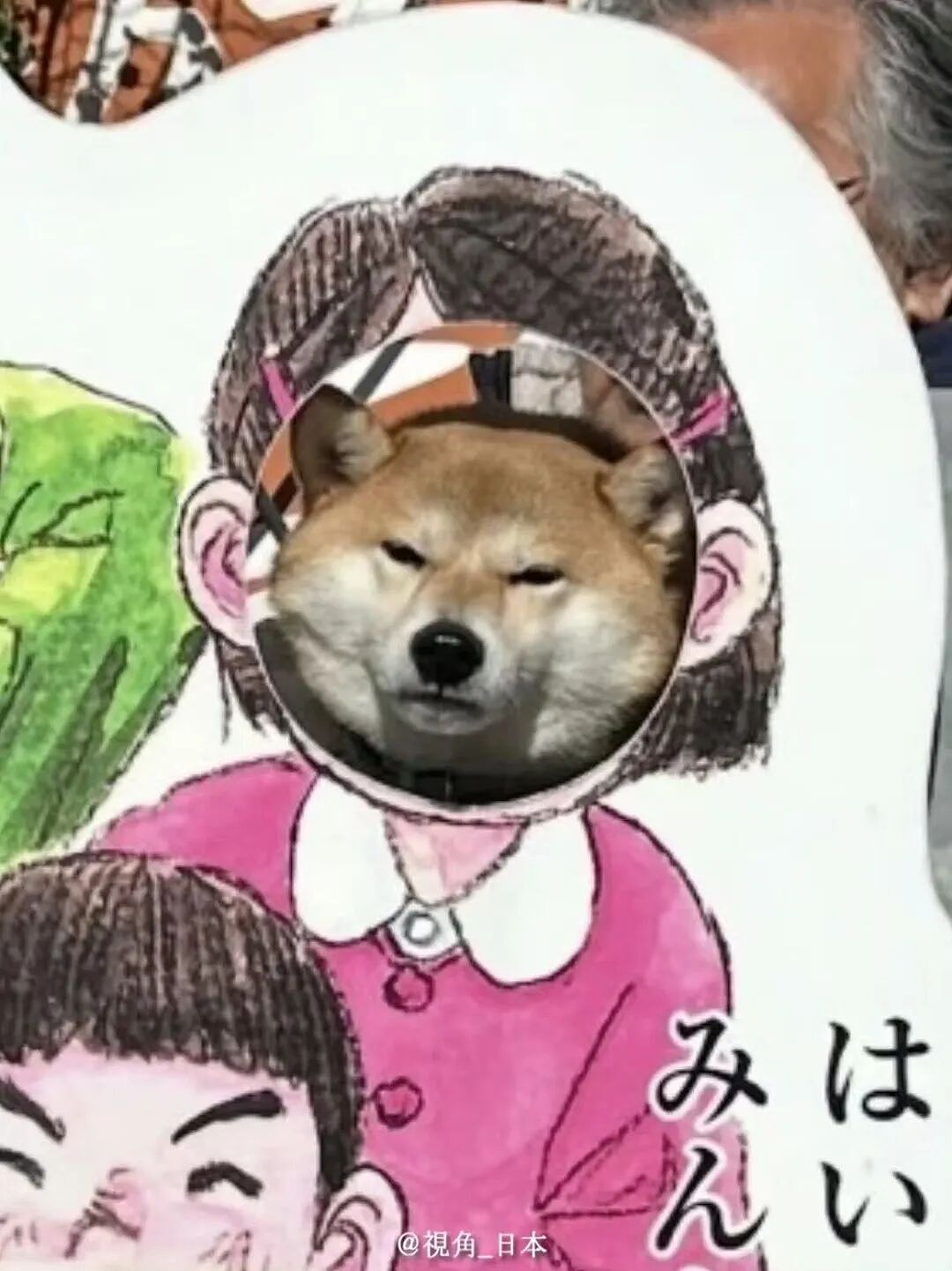 【爆笑】“跟领导聊天不小心暴露自己的属性......“ 哈哈哈哈哈哈我不行了！（组图） - 78