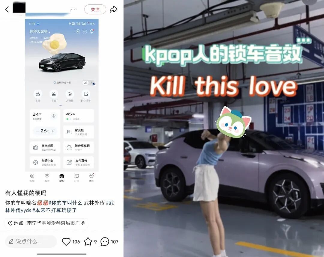 蔚来卖4900的可爱废物把中产哄高兴了，啥“车载AI玩具”换个皮肤都要2888？（组图） - 16