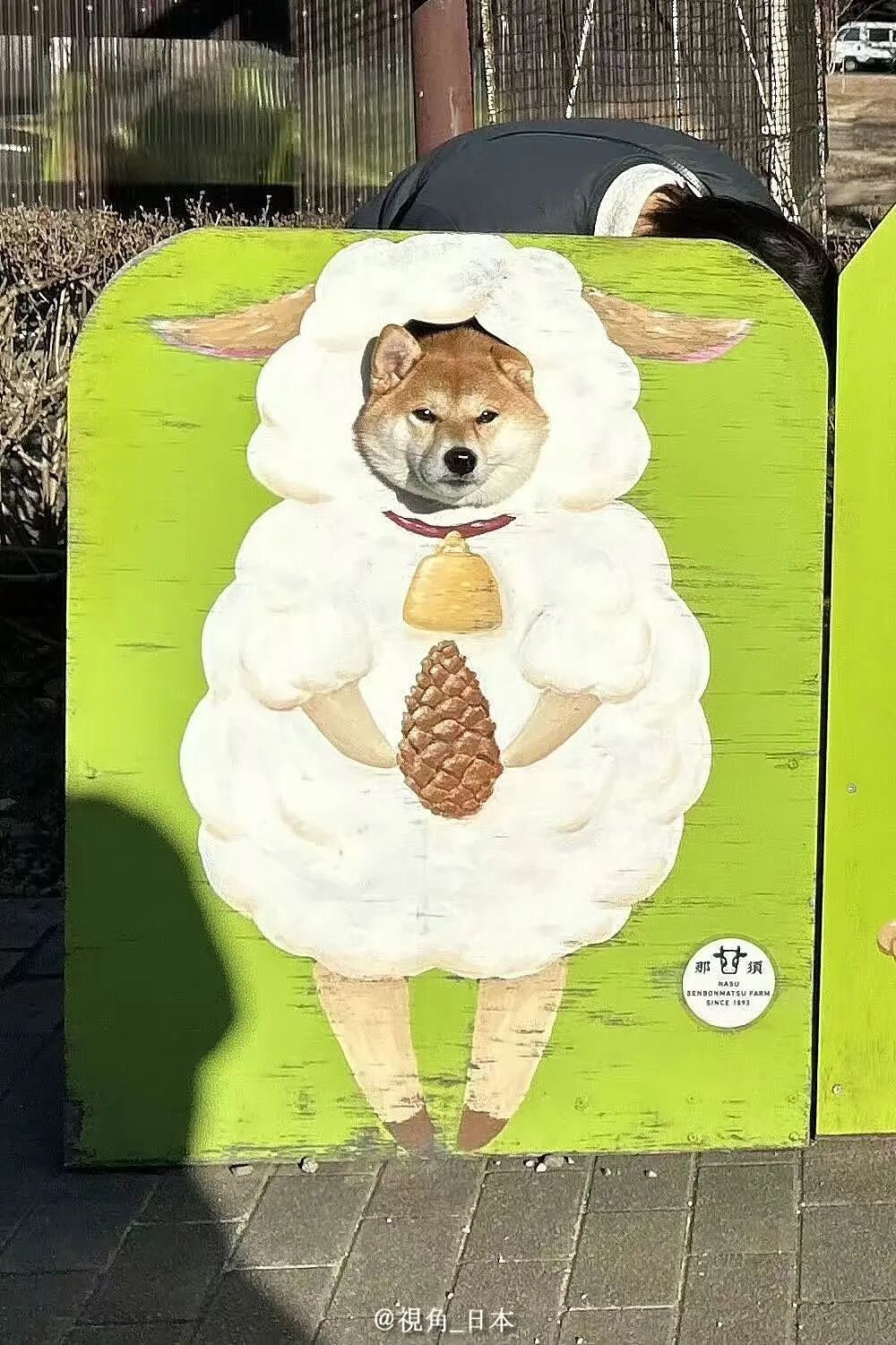 【爆笑】“跟领导聊天不小心暴露自己的属性......“ 哈哈哈哈哈哈我不行了！（组图） - 79