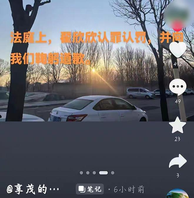 翟欣欣被判12年！四婚四离，逼死前夫，欺负老实人终将付出代价（组图） - 6