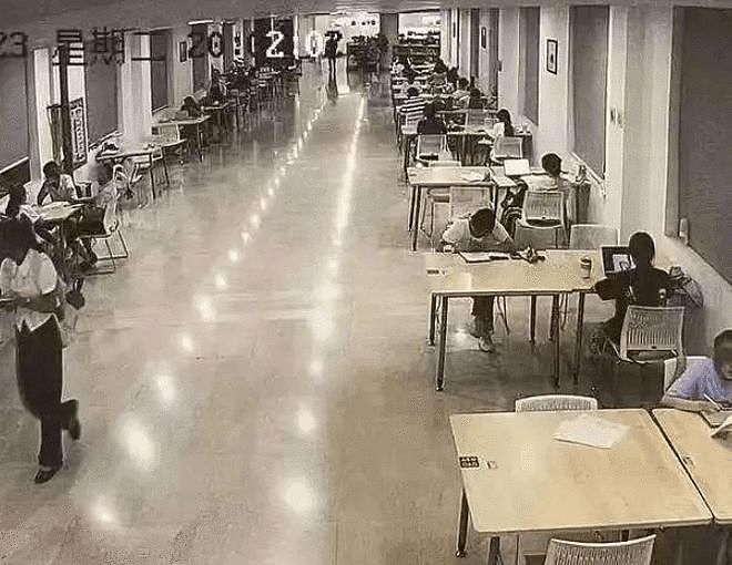 武大图书馆“性骚扰案”二审判决:驳回杨某媛上诉(组图) - 1