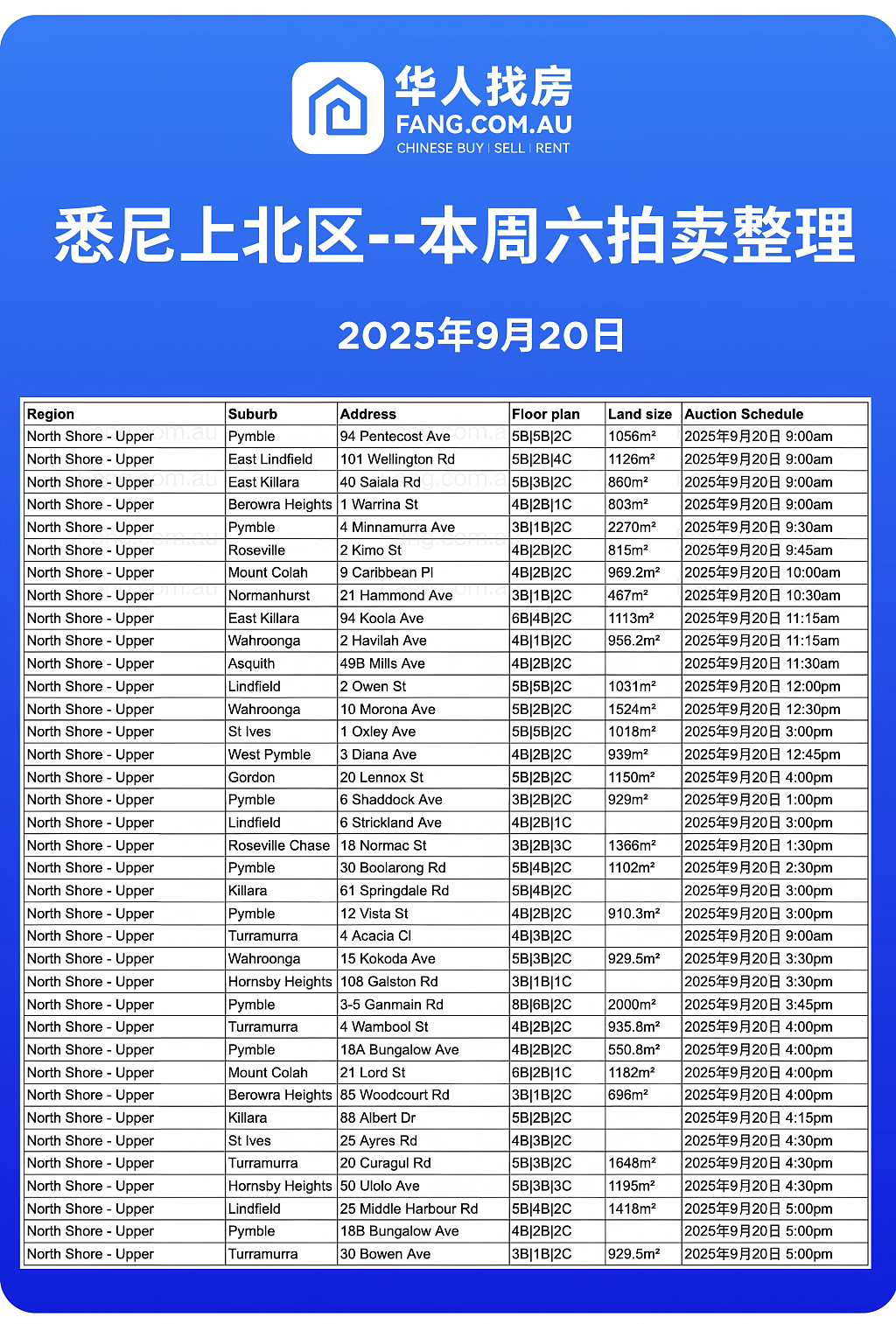 直击悉尼周末拍卖现场,拍卖结果实时更新!(组图) - 14