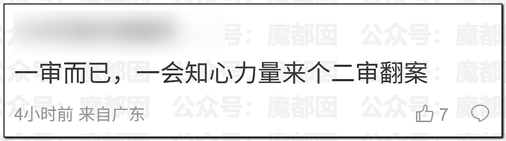 逼死前夫的捞女鼻祖翟欣欣被判12年！小仙女们吓到失禁（组图） - 48