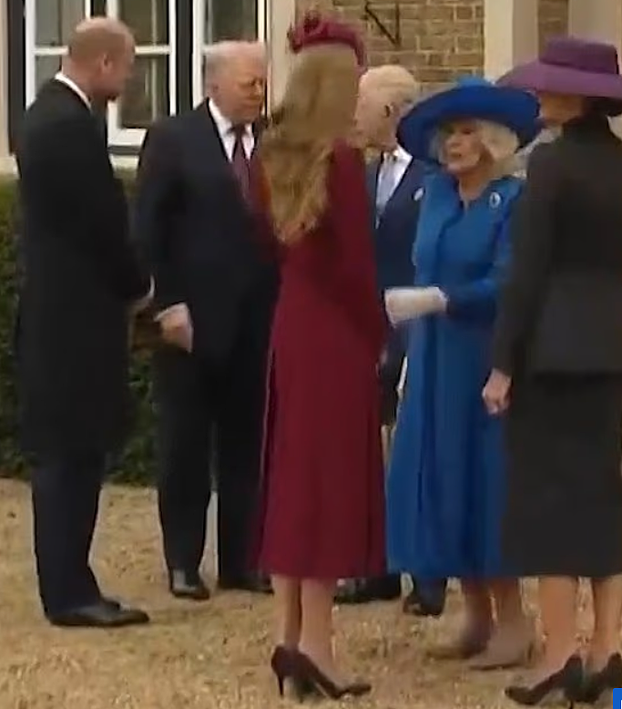 英美国宴硝烟四起!特朗普盯着凯特说“谢谢王后”,卡米拉黑脸示意凯特“注意身份”?网友:凯特小心(组图) - 11