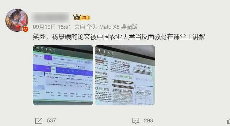 武大再通报“杨景媛案”，多位大V发声：牺牲老师也要保护学生（组图） - 3