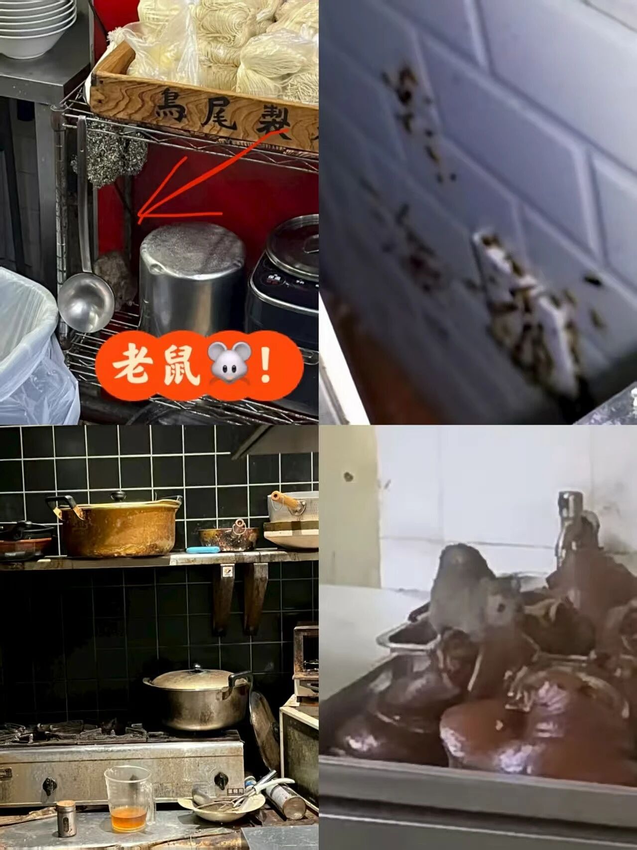 罗永浩这么一闹，更不敢去外面吃饭了（组图） - 14