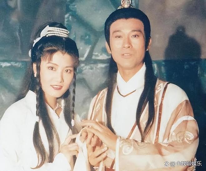 为成毅发声的杨丽菁：曾是杨紫琼接班人，却因感情影响事业值得吗（组图） - 30