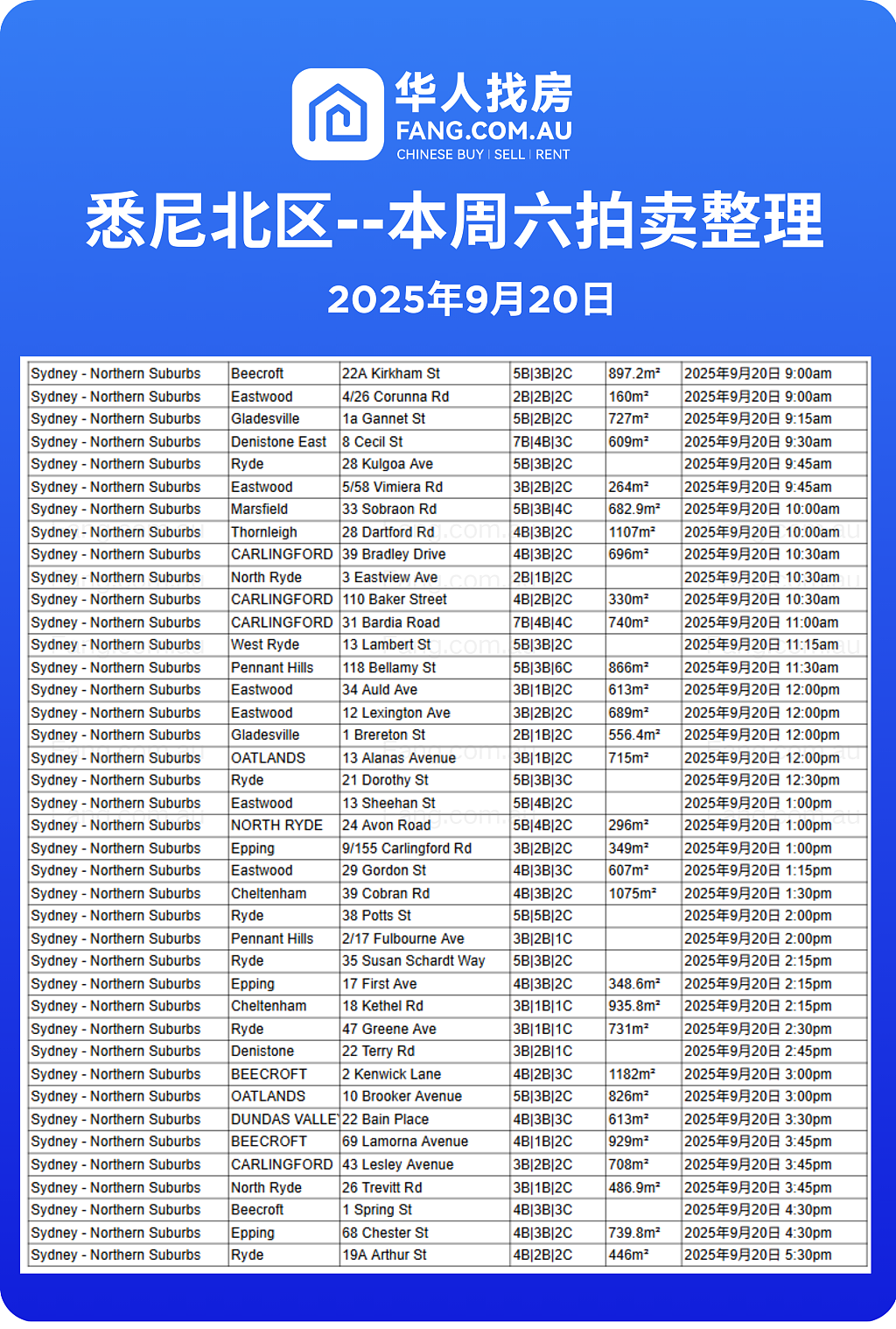 直击悉尼周末拍卖现场,拍卖结果实时更新!(组图) - 17