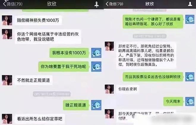 翟欣欣被判12年！四婚四离，逼死前夫，欺负老实人终将付出代价（组图） - 13