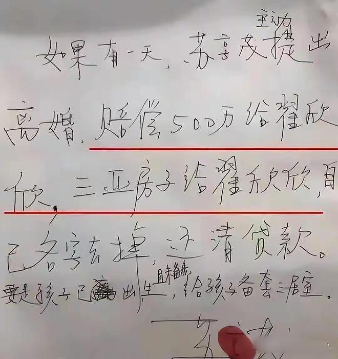 翟欣欣被判12年！四婚四离，逼死前夫，欺负老实人终将付出代价（组图） - 12