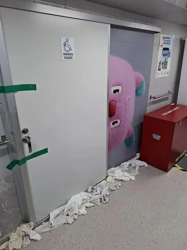 首尔新开水上巴士，第一天厕所炸了！不明黄色液体乱流，乘客心态崩了...（组图） - 9