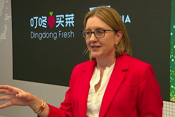 专门针对中国人！维州政府壕掷$4300万，要在中国干这件大事（组图） - 7