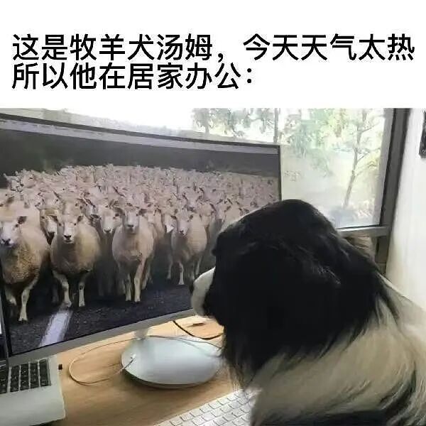 【爆笑】“吃火锅遇到理想型近看竟是前男友...？！”哈哈哈人的审美果然是固定的（组图） - 66