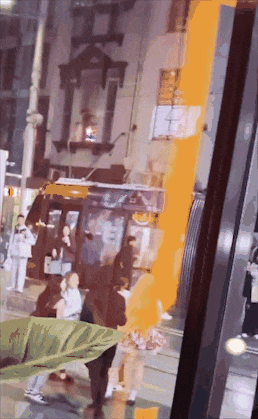 “中国人滚出澳洲！”邻国接连发生反移民游行，华人遇袭事件频发！使领馆提醒（组图） - 4
