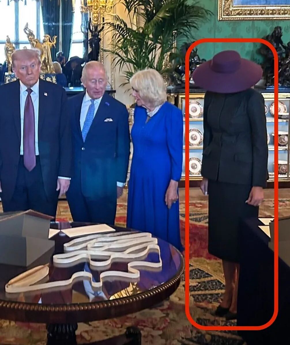 梅拉尼娅和凯特罕见时尚对决，一个穿成1米8落地灯，一个疑戴假发…（组图） - 20