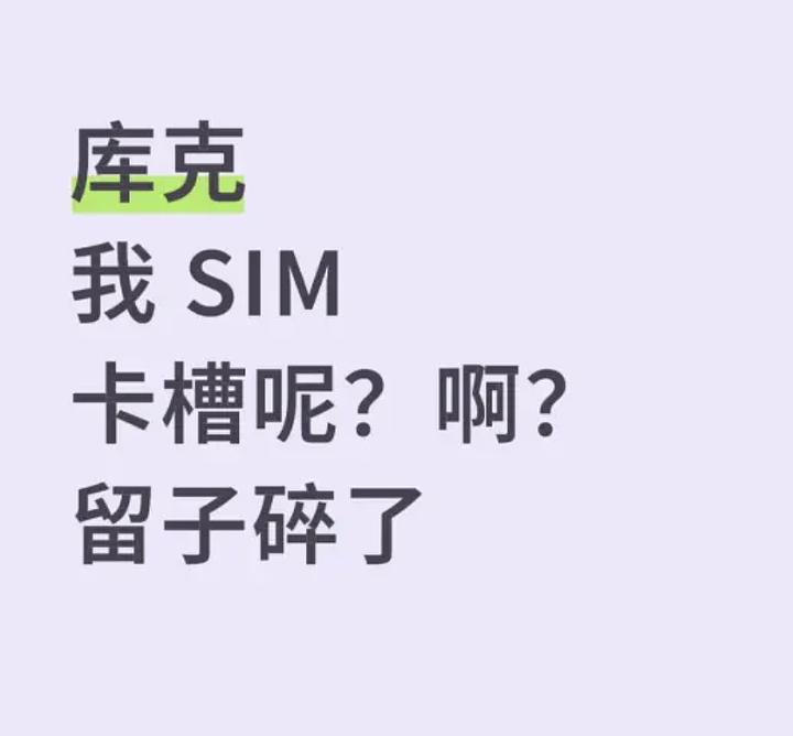 百人混战！iPhone 17发售，苹果店门口上演全武行，人群暴打互扇耳光（视频/组图） - 8