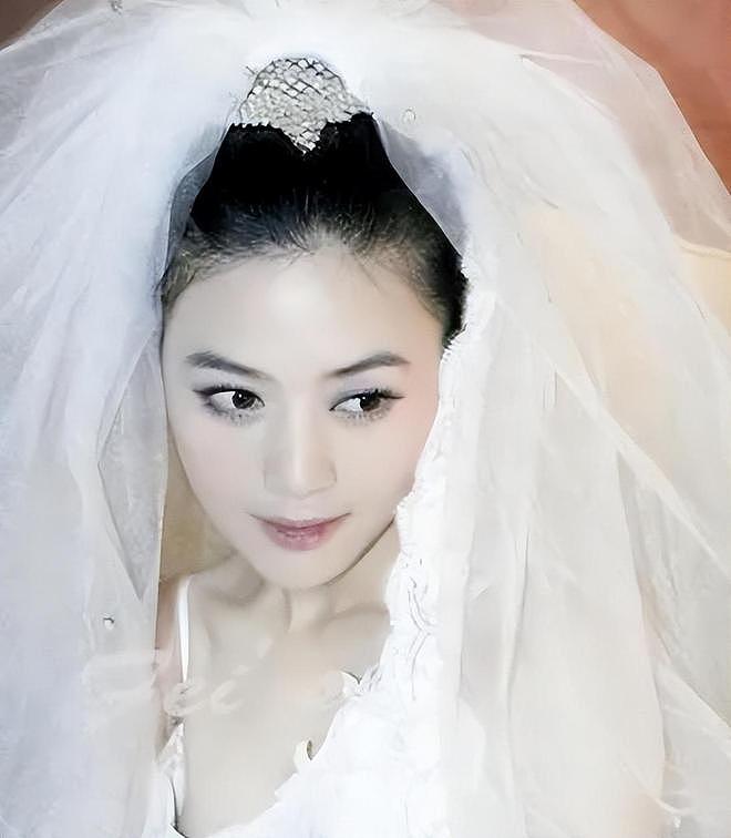 田海蓉隐婚后频现争议，昔日“蛇蝎美人”现状引关注（组图） - 3