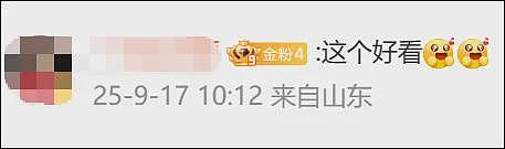 卢伟冰回应“小米17改名”:没蹭苹果热度,这次升级巨大(组图) - 7