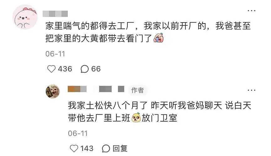 在浙江，被包养都得上班（组图） - 3